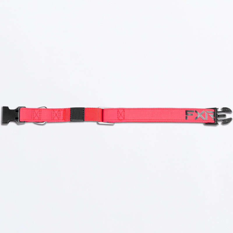 Dog_Collar_RazzBlack_SKU_243600-_2810_Extra1