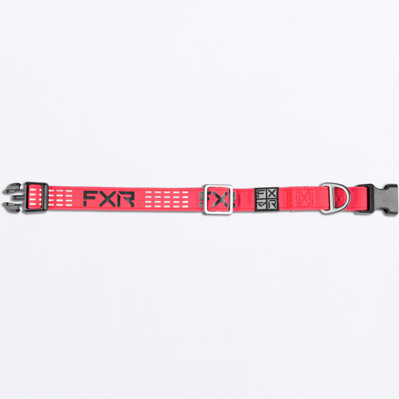 Dog_Collar_RazzBlack_SKU_243600-_2810_Extra